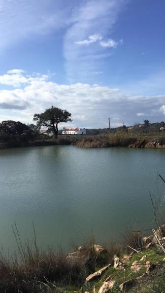 Herdade Da Maridona - Agroturismo Estremoz Dış mekan fotoğraf